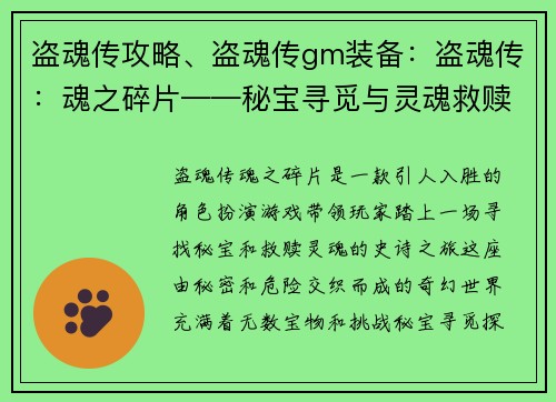 盗魂传攻略、盗魂传gm装备：盗魂传：魂之碎片——秘宝寻觅与灵魂救赎之旅